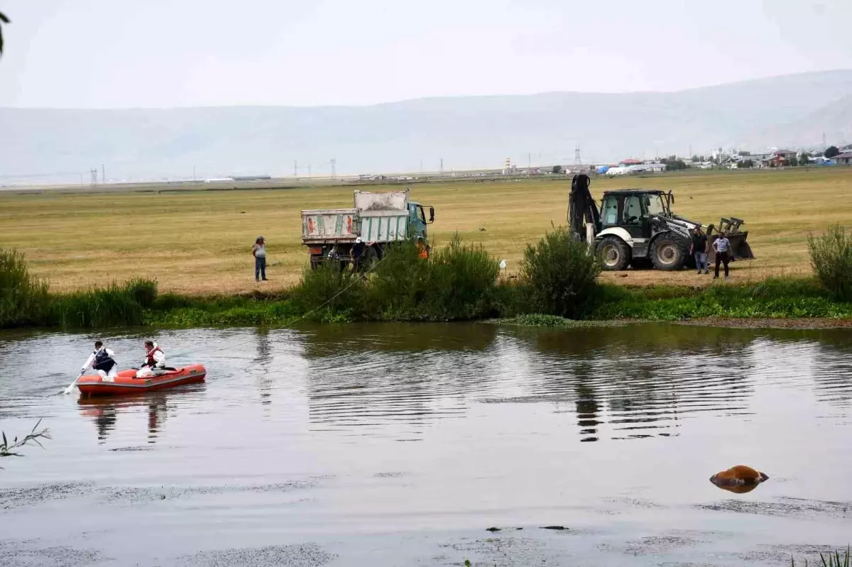 Ardahan\'da Nehirde Boğulan İnek Bulundu
