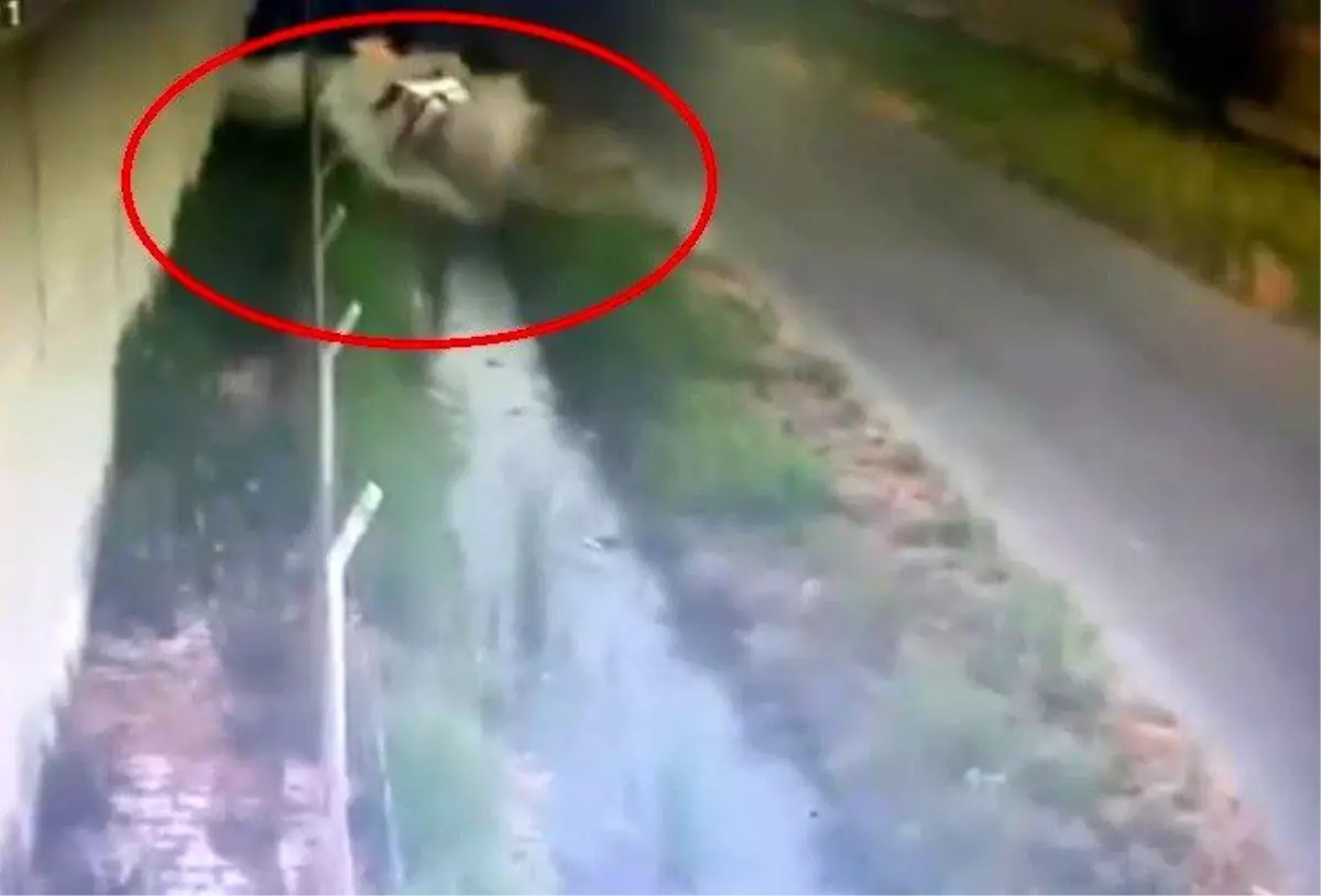 Hatay\'da Otomobil Sulama Kanalına Düştü
