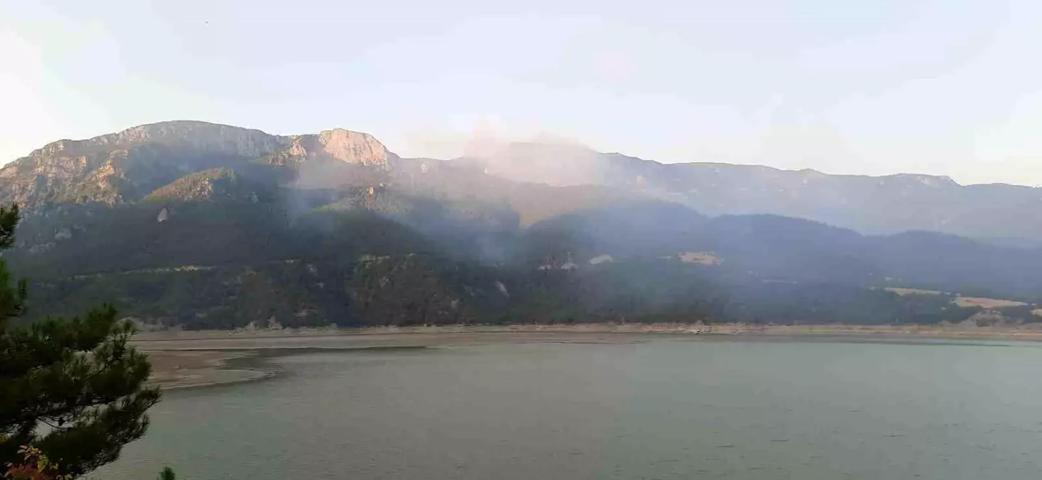 Sinop\'ta Orman Yangınına Müdahale Ediliyor