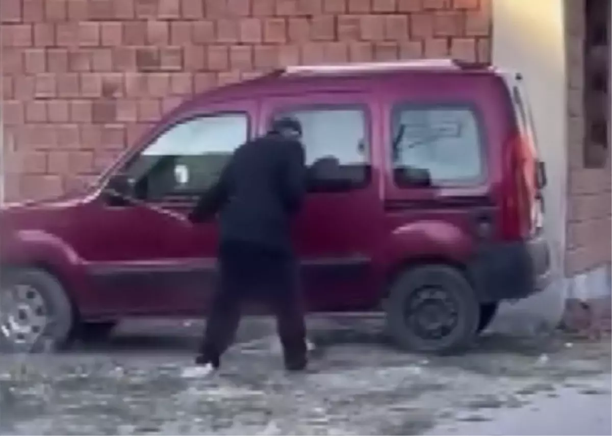 Yaralı Köpeğe \'Mucize\' İsmi Verildi