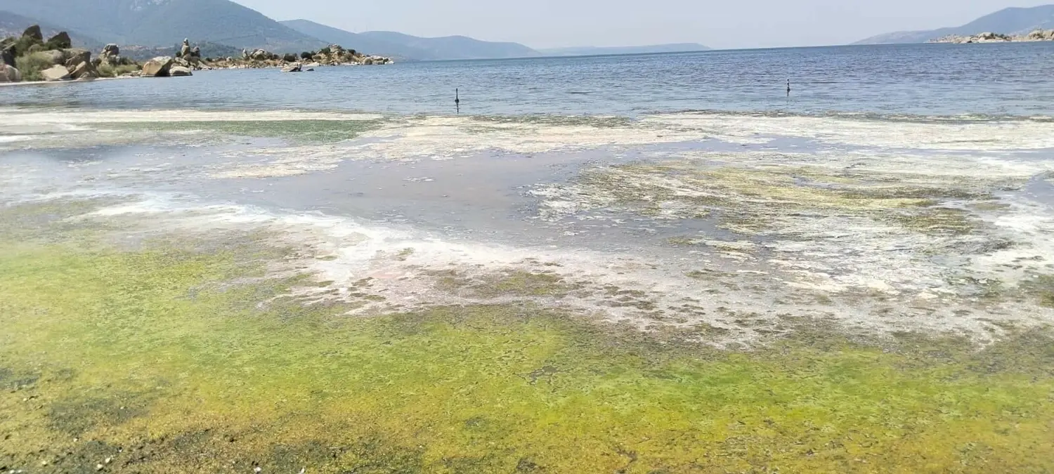 Bafa Gölü Kuruyor, Kirlilik Artıyor