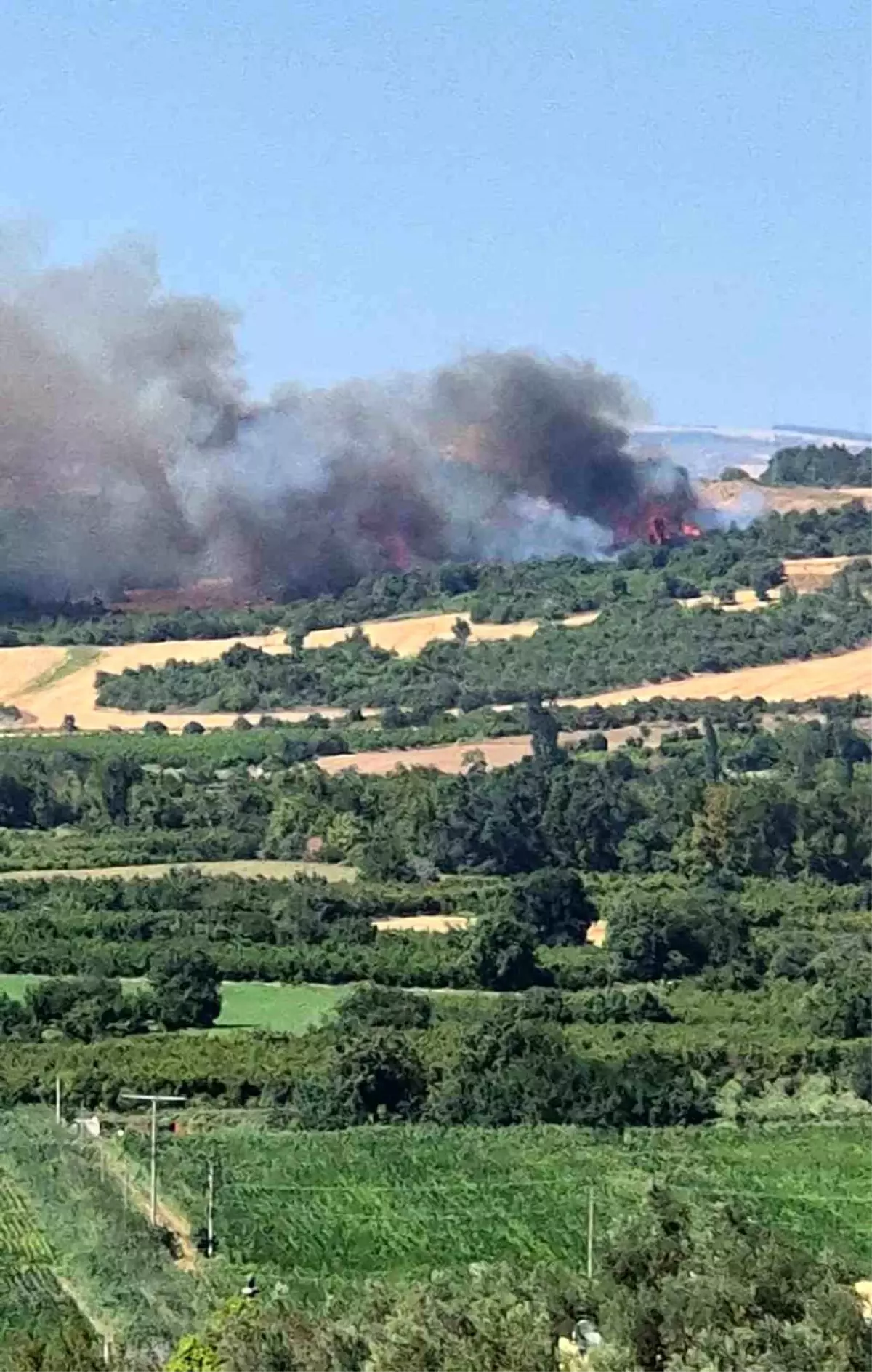 Çanakkale\'de Tarım Arazisindeki Yangın Ormana Sıçradı
