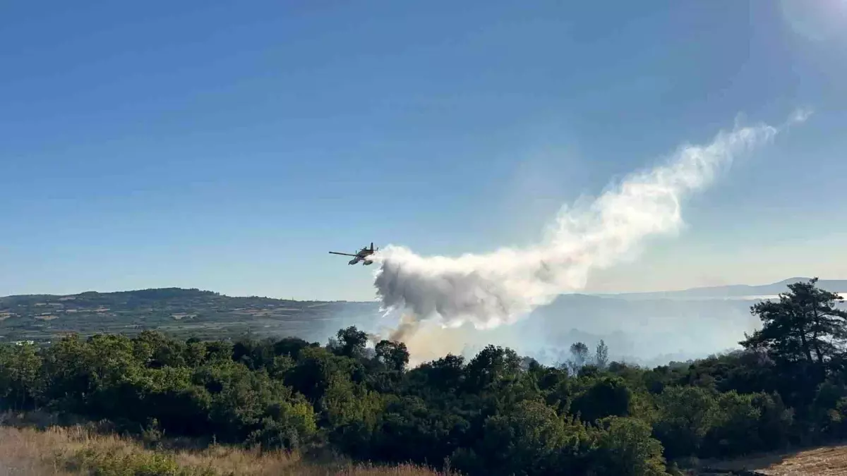 Çanakkale\'de Yangın Kontrol Altına Alındı