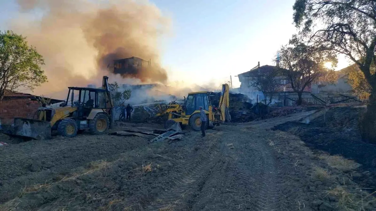 Burdur\'da Yangın: 3 Buzağı Telef Oldu