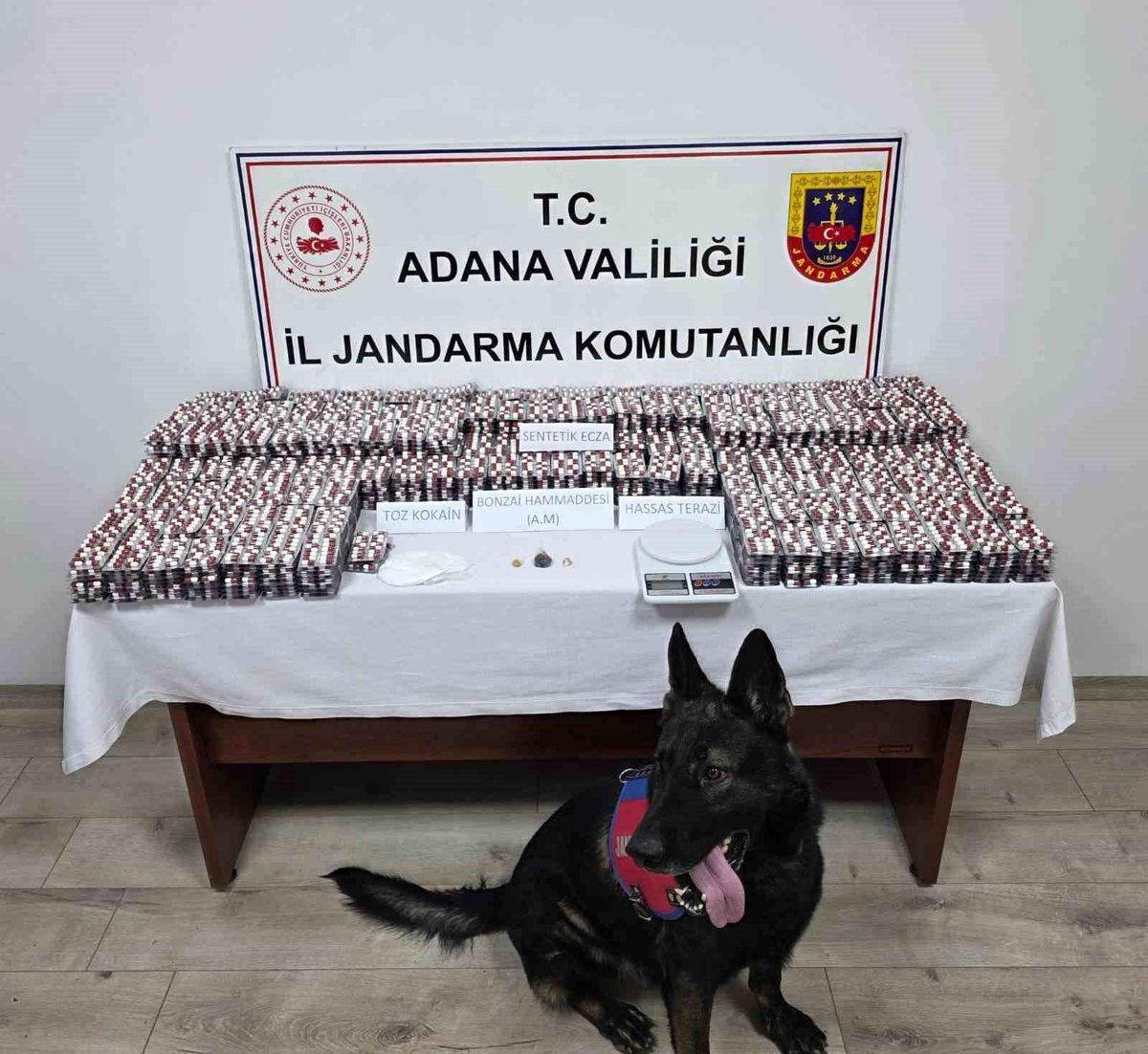 Adana\'da 19 Bin Sentetik Uyuşturucu Hap Ele Geçirildi