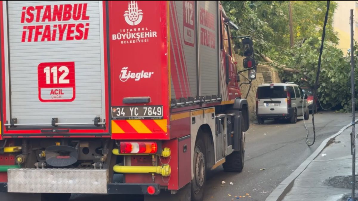 Devrilen Ağaç Elektrik Direklerini Yıktı