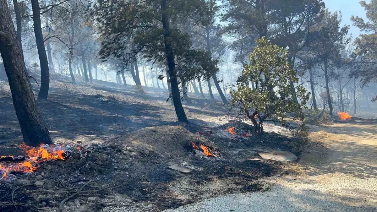Çanakkale\'de Yangın: Villalar Yanıyor