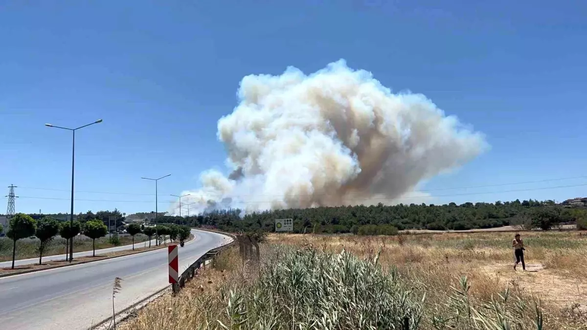 Çanakkale\'de Orman Yangını