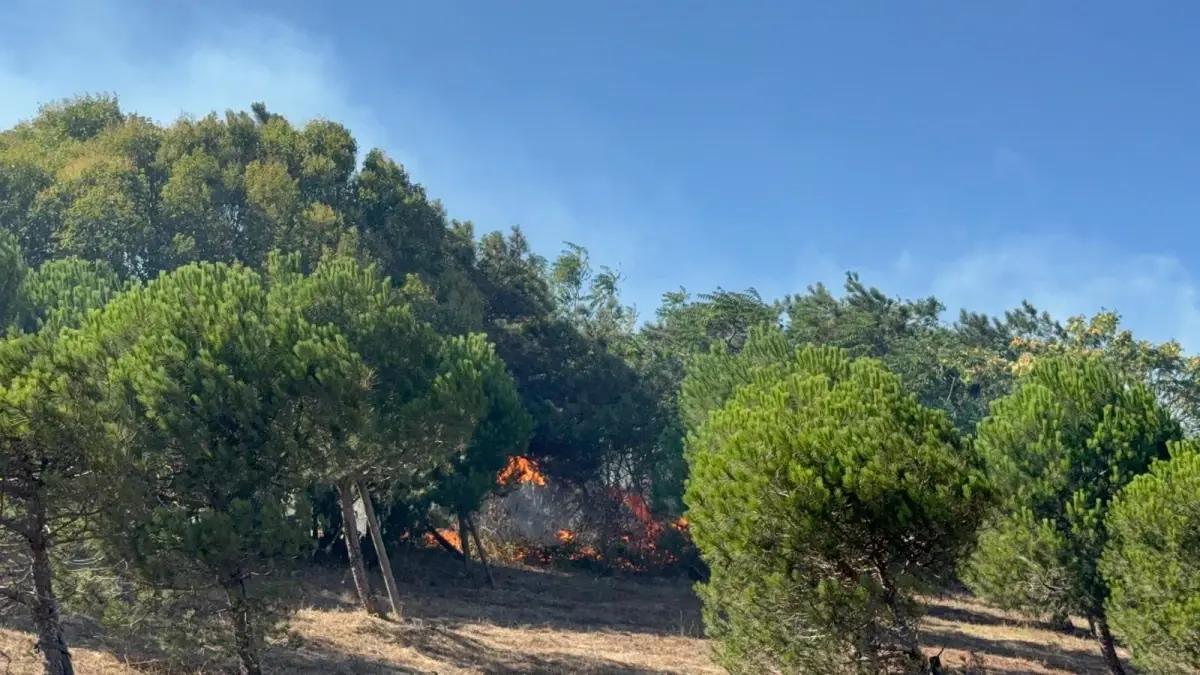 Çatalca\'da Yangın Büyüyor