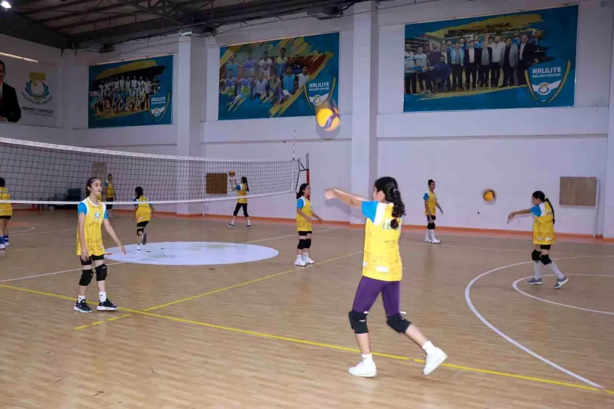 Haliliye Belediyesi Gençler İçin Voleybol Kursları Düzenliyor