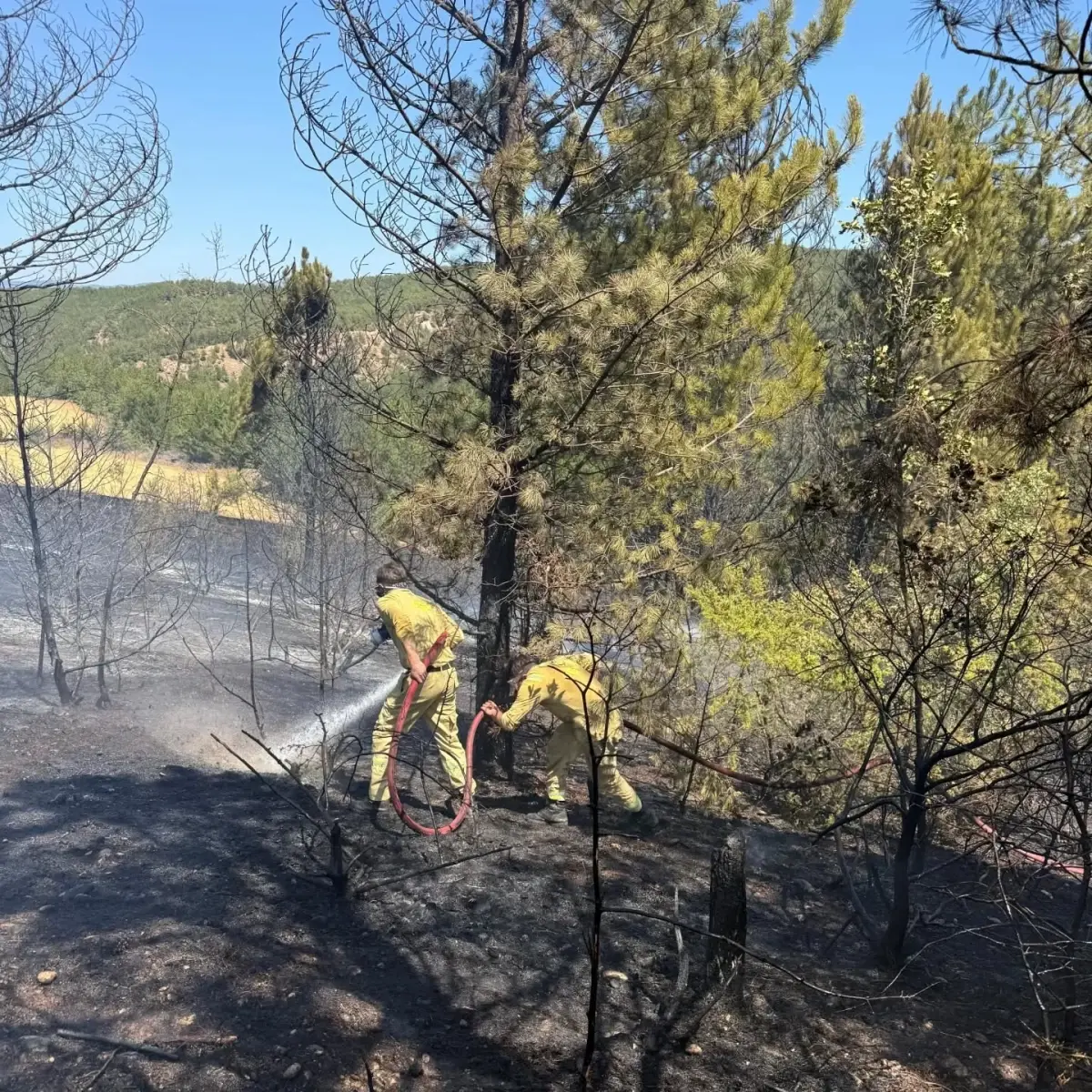 Kastamonu\'da Orman Yangını Kontrol Altına Alındı