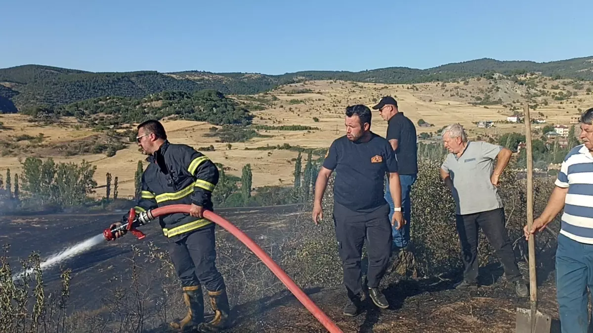 Tosya\'da Yangın: 30 Dönüm Arazi Küle Döndü