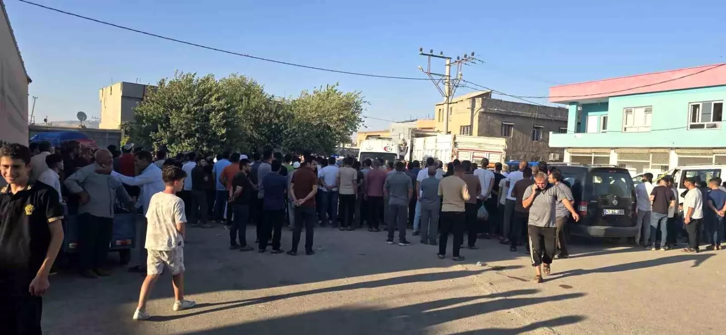 Mardin\'de Tırın Çarptığı Adam Hayatını Kaybetti