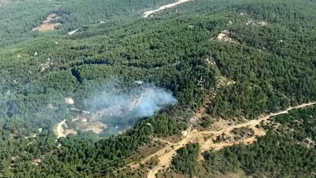 Muğla\'da Orman Yangınına Müdahale Başladı