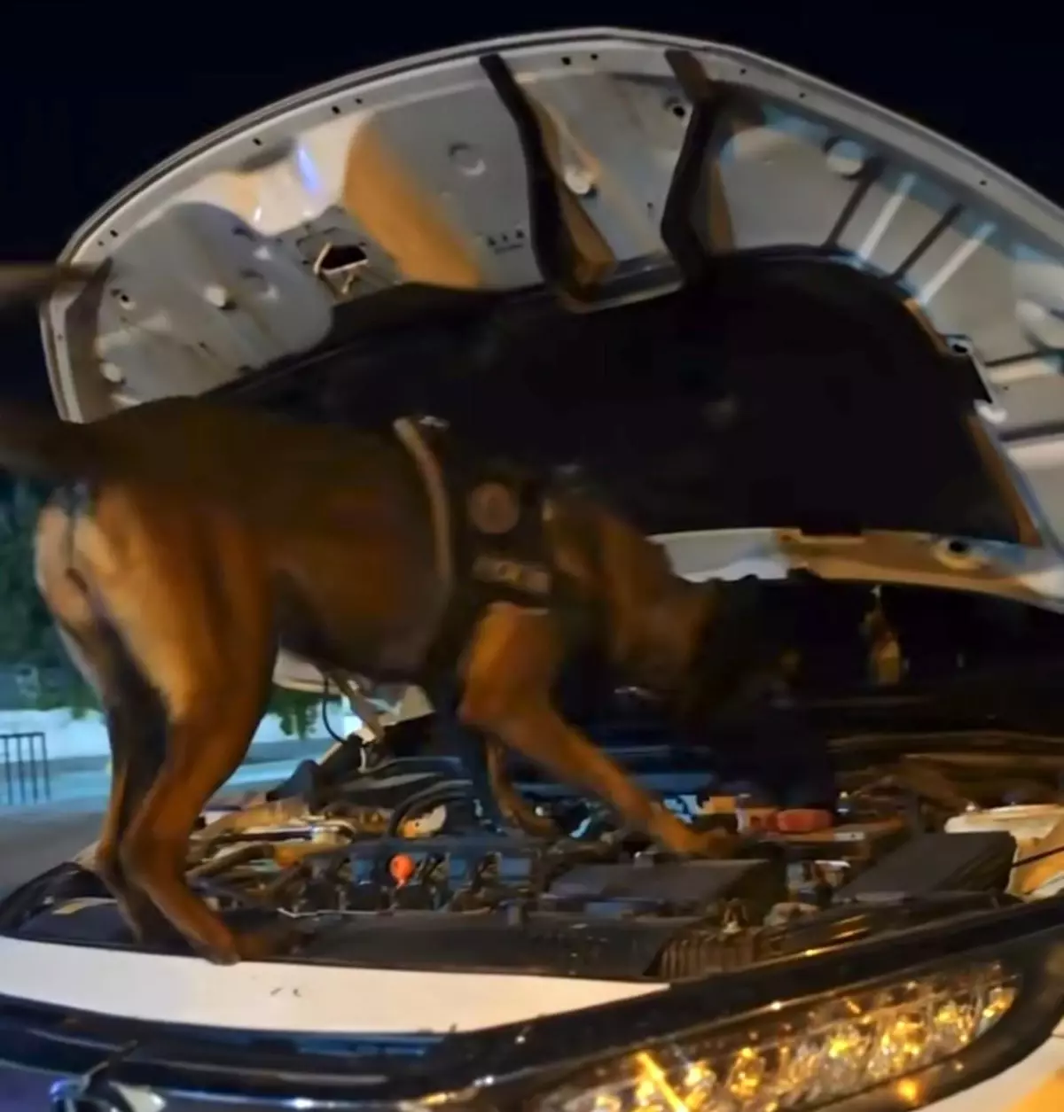 Muş\'ta Suçla Mücadele Operasyonu: 51 Şüpheli Yakalandı