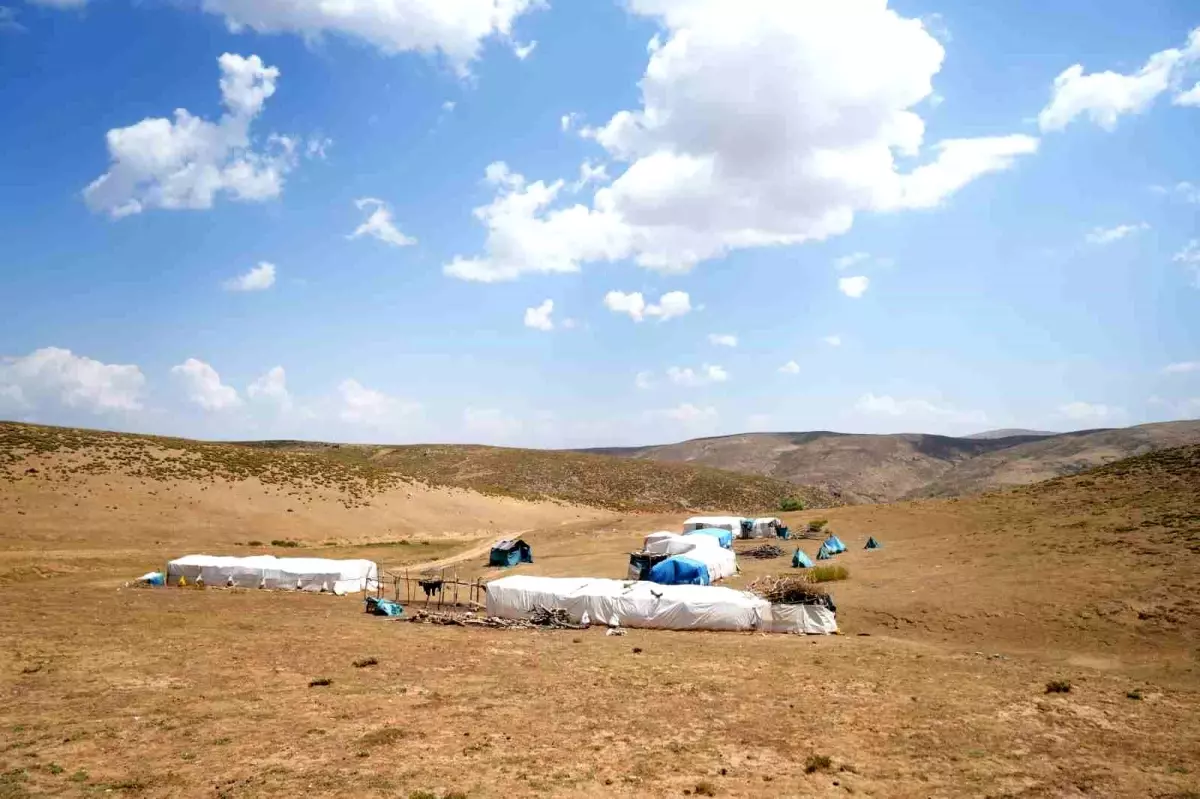 Muş\'ta Besiciler Yayla Dönüşü İçin Hazırlanıyor