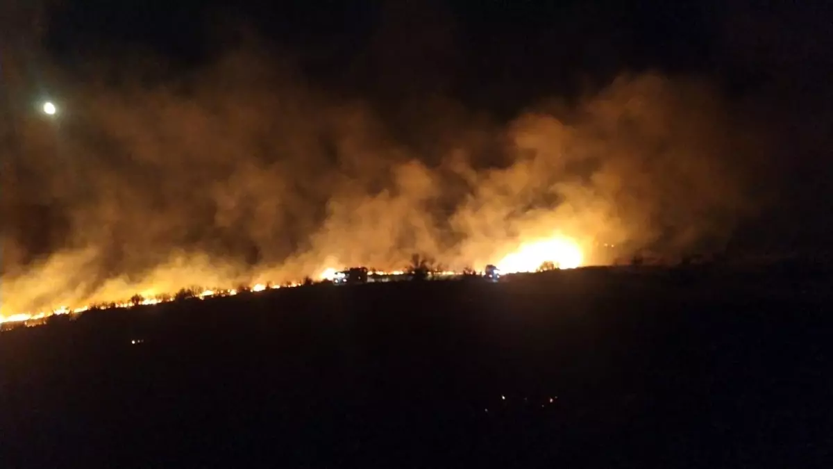 İzmir Aliağa\'da Otluk Alanda Yangın Söndürüldü