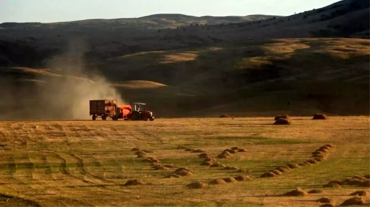 Bayburt\'ta Çiftçinin Tarlasından Balya Ot Çalındı