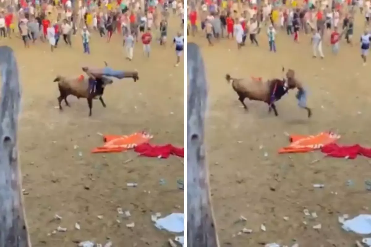 Boğa güreşi festivalinde matador aldığı boynuz darbesi ile feci şekilde can verdi