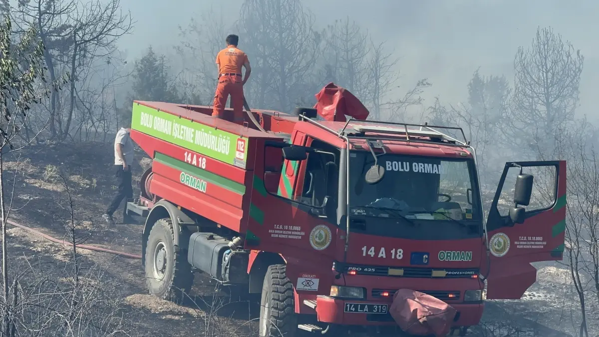 Bolu\'da Orman Yangını Çıktı