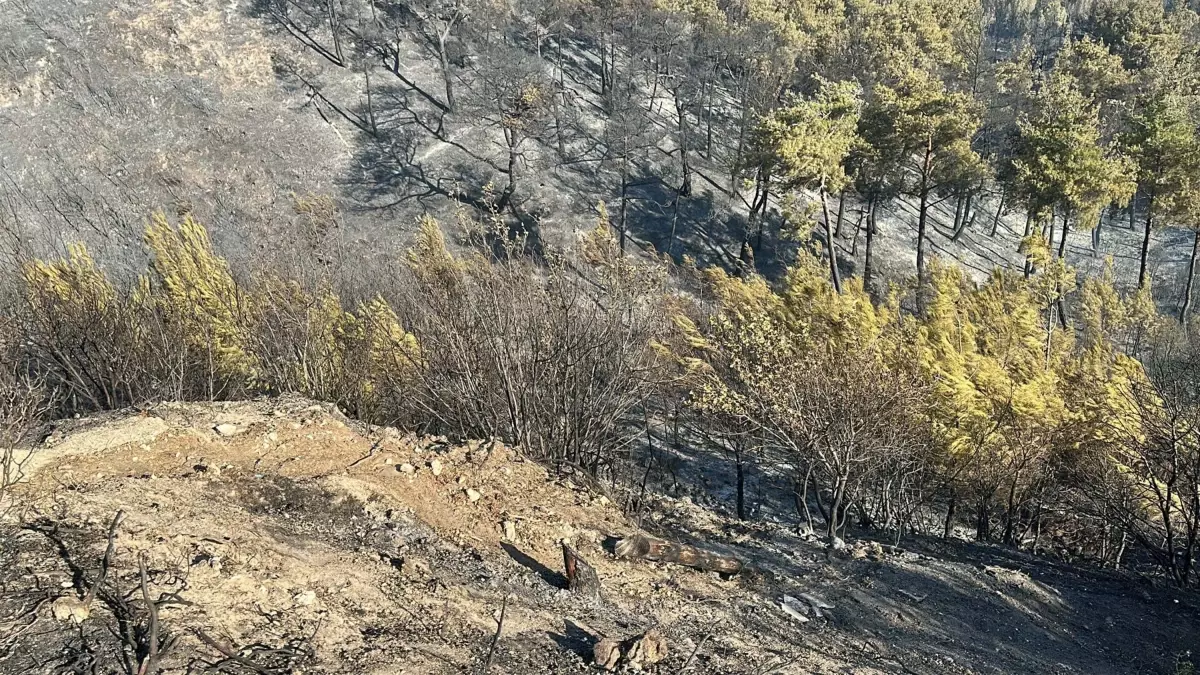 Çanakkale\'de Yangın: Turgut Reis Tabyası ve Mezarlık Zarar Gördü