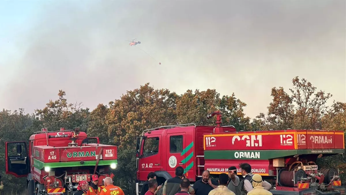 Edirne\'de Orman Yangını Kontrol Altına Alındı