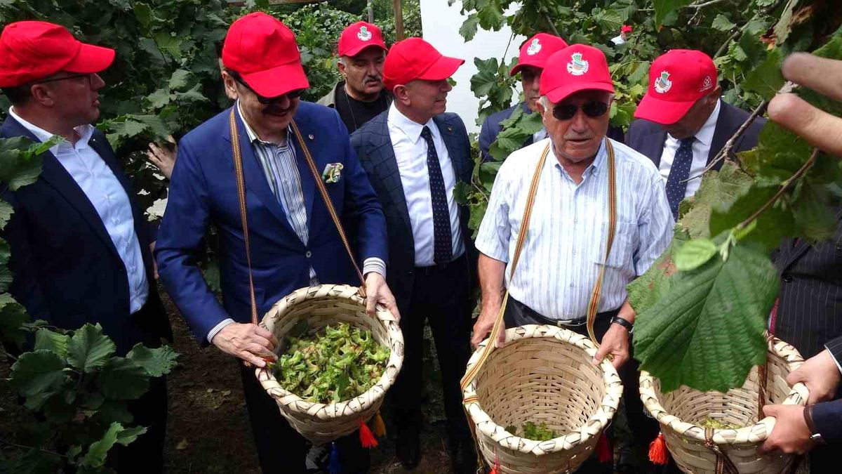 Dünya Fındık Haftası Trabzon\'da Kutlandı