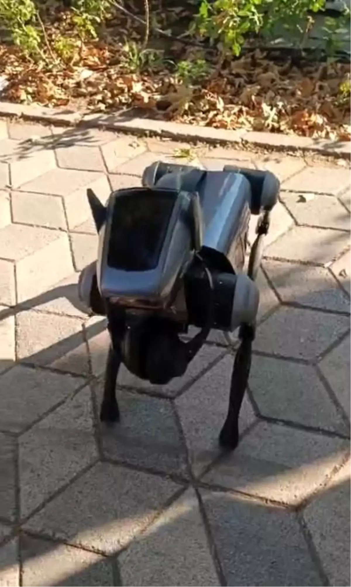 Robot Köpek Eskişehir\'de İlgi Odağı Oldu