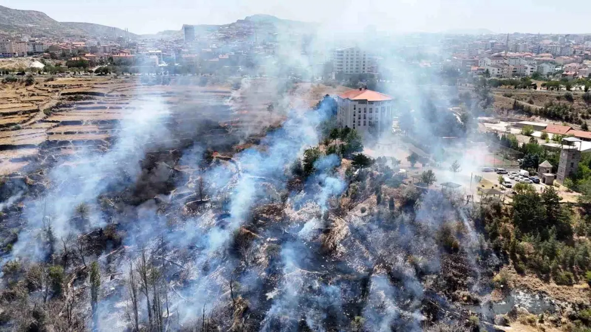 Nevşehir\'de Ağaçlık Alanda Yangın