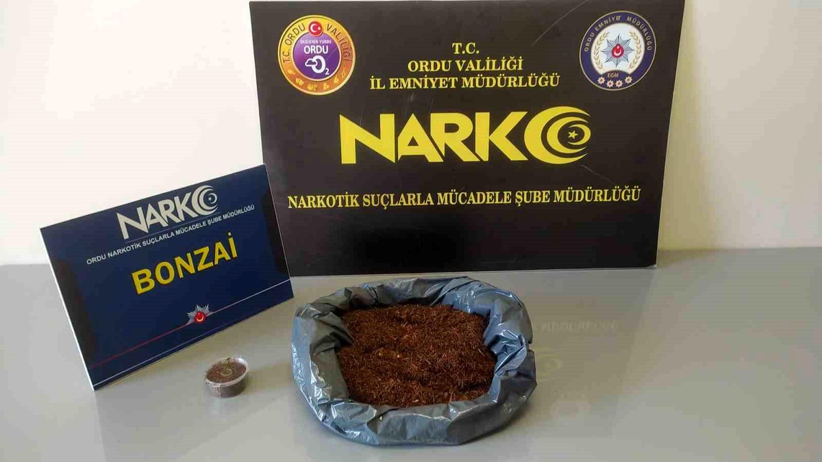 Ordu\'da Uyuşturucu Operasyonları: 2 Tutuklama