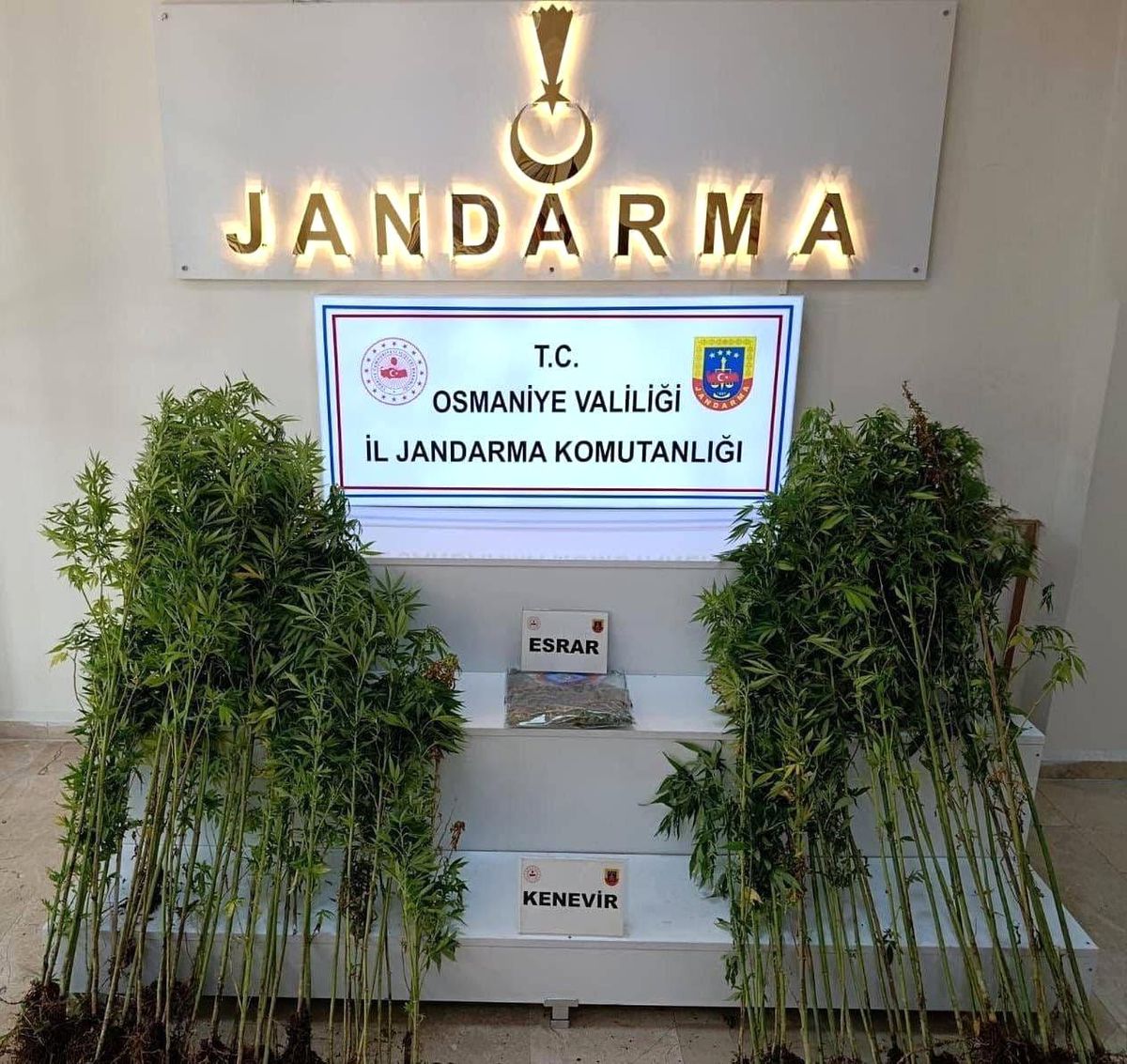 Osmaniye\'de Jandarma Operasyonları: 121 Gözaltı