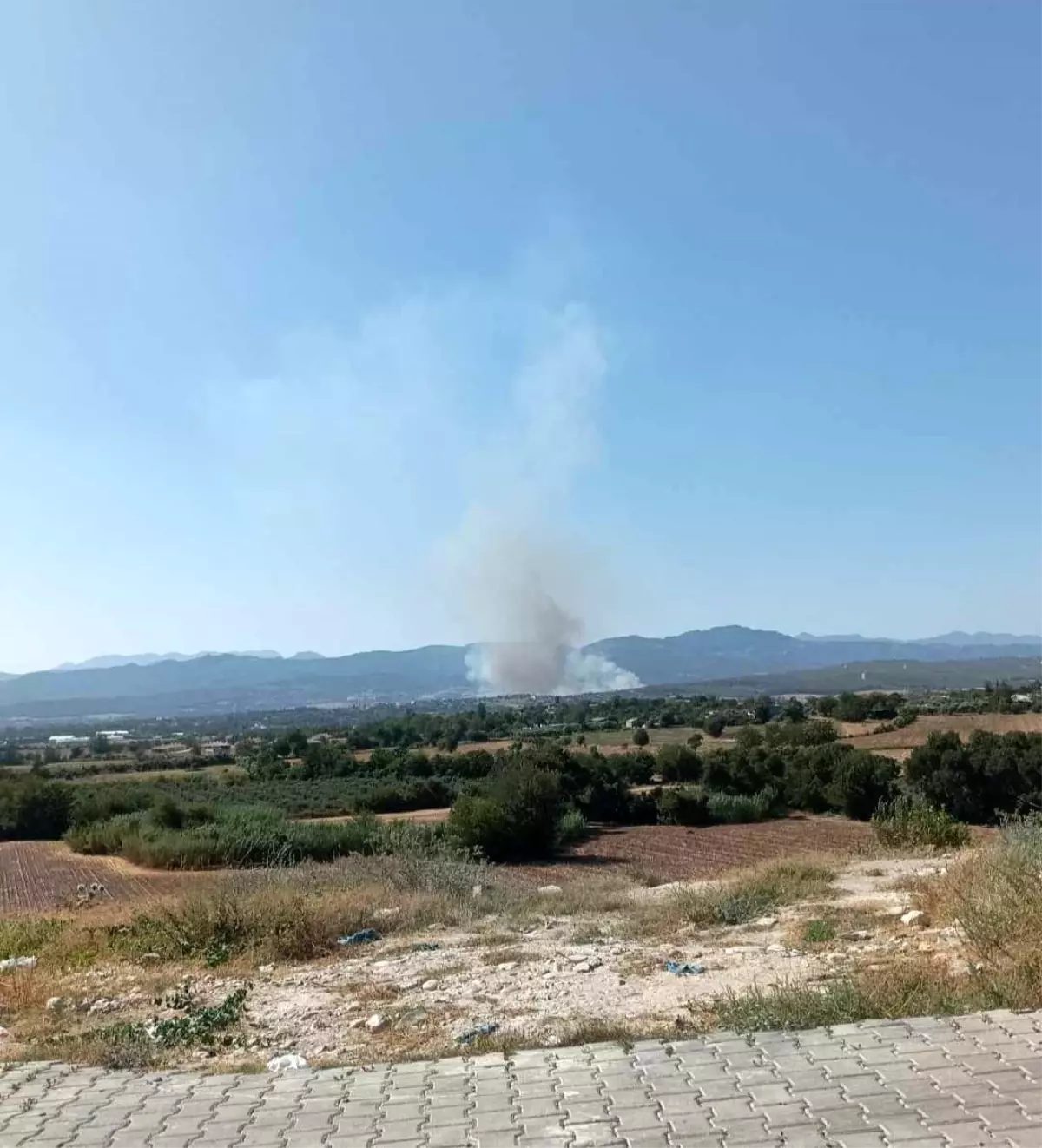 Osmaniye\'de Orman Yangını