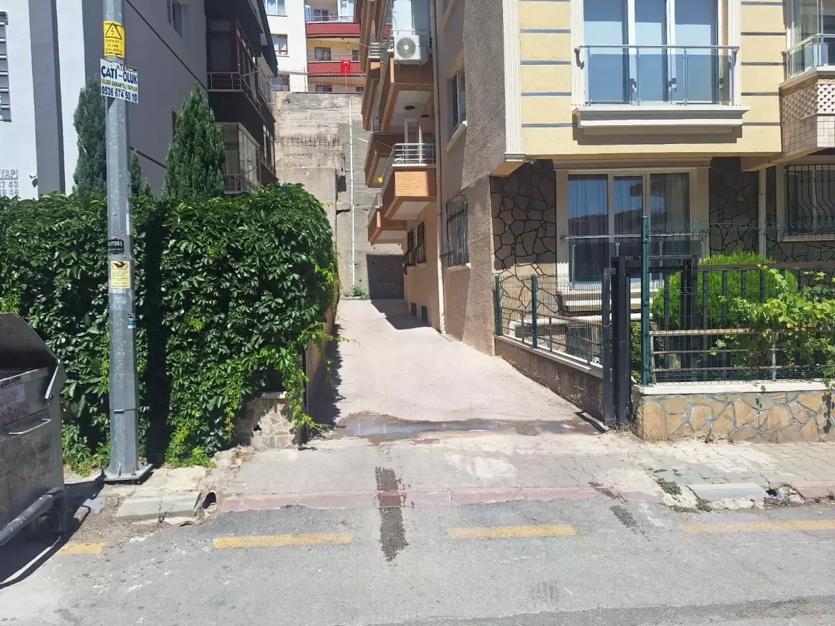 Polis memuru sokak köpeğini vurarak öldürdü