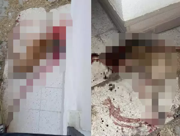 Polis memuru sokak köpeğini vurarak öldürdü Polis memuru sokak köpeğini vurarak öldürdü