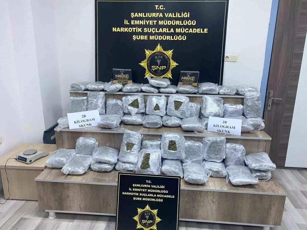 Siverek\'te 28 Kilo Skunk Ele Geçirildi