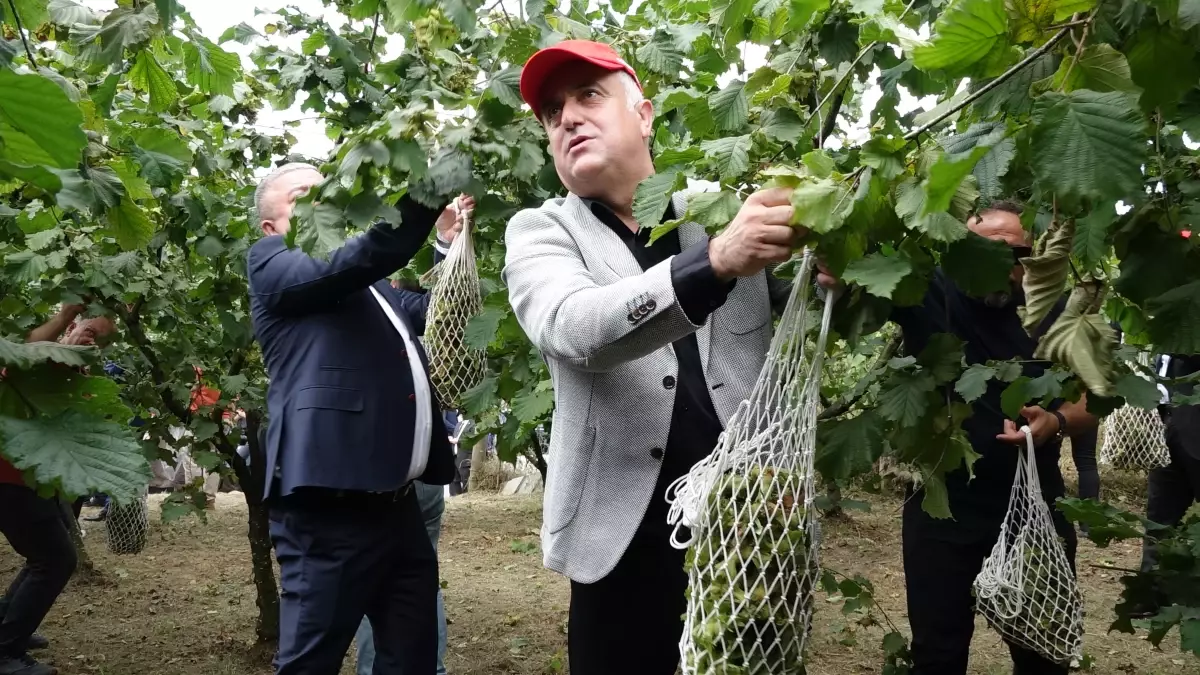 Dünya Fındık Haftası Trabzon\'da Kutlandı