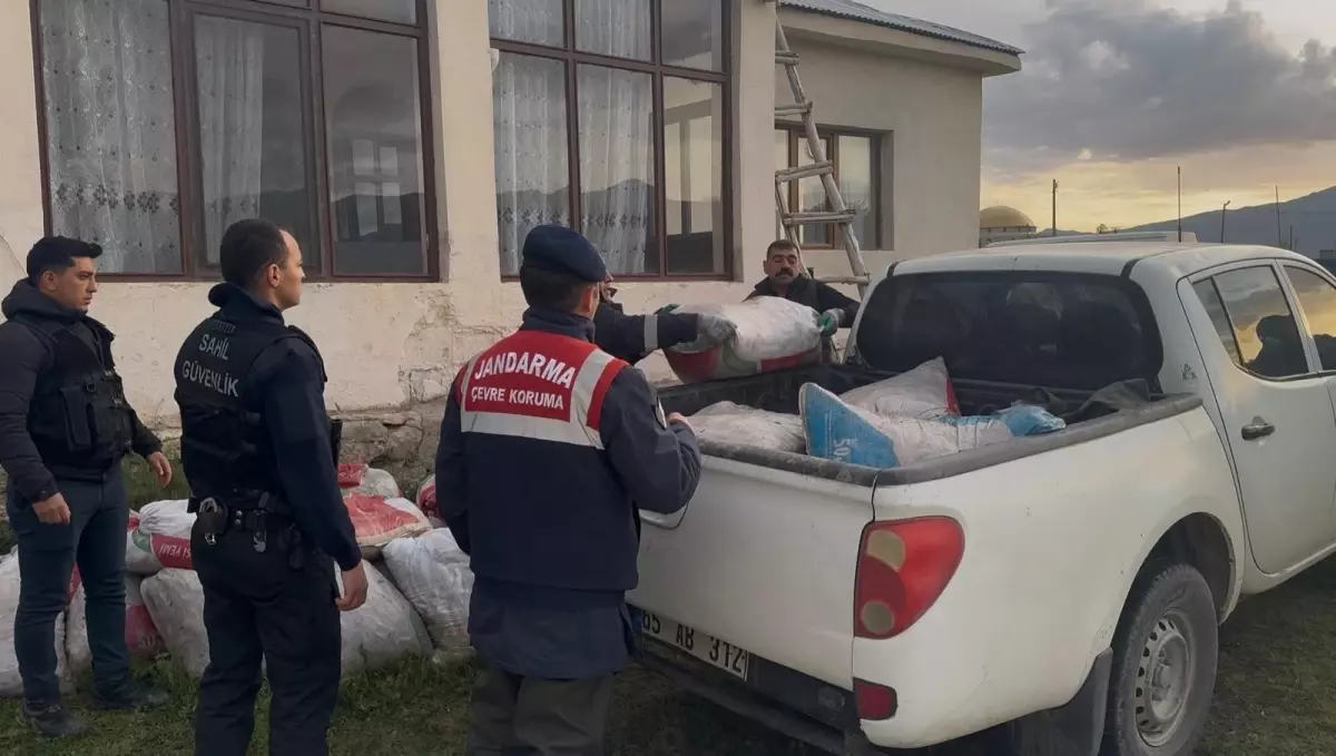 Van Gölü\'nde İnci Kefali Popülasyonu Artıyor