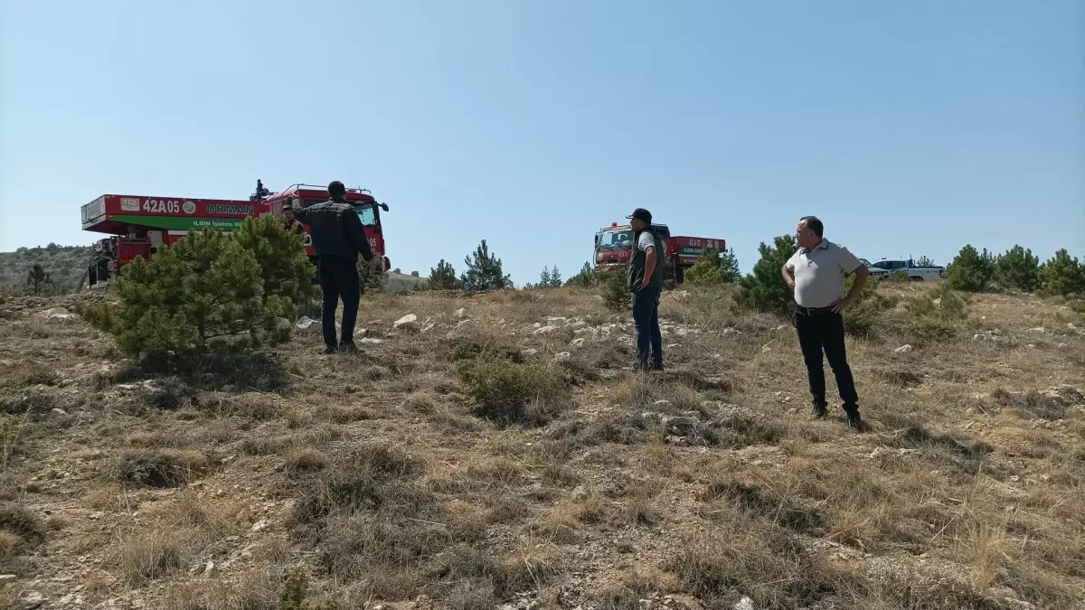 Ilgın\'da Anız Yangını Ormana Sıçradı