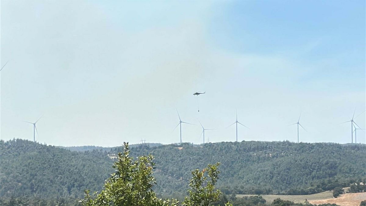 Çanakkale\'de Orman Yangını