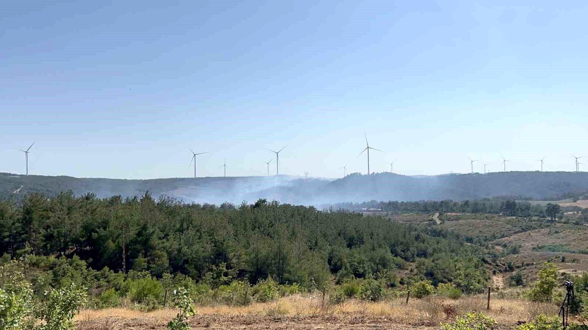 Çanakkale\'de Orman Yangını Kontrol Altına Alındı