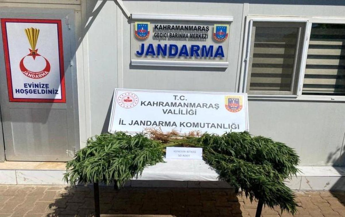 Kahramanmaraş\'ta Jandarma Operasyonu: 14 Tutuklama