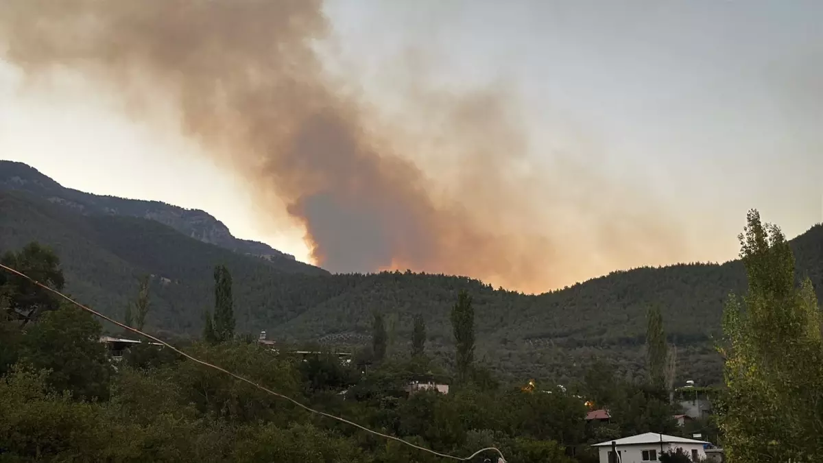Hatay\'da Orman Yangını