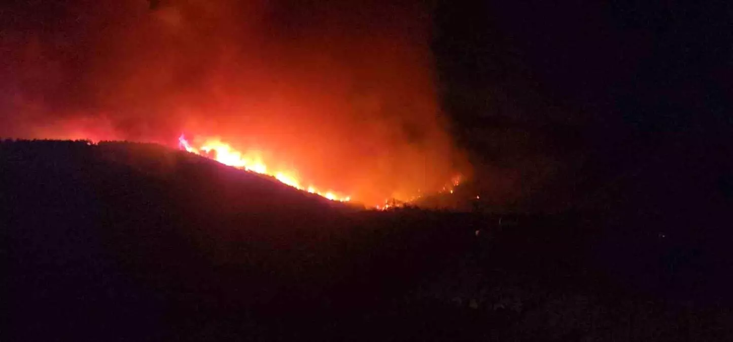 Hatay\'da Orman Yangını, Evler Tahliye Ediliyor