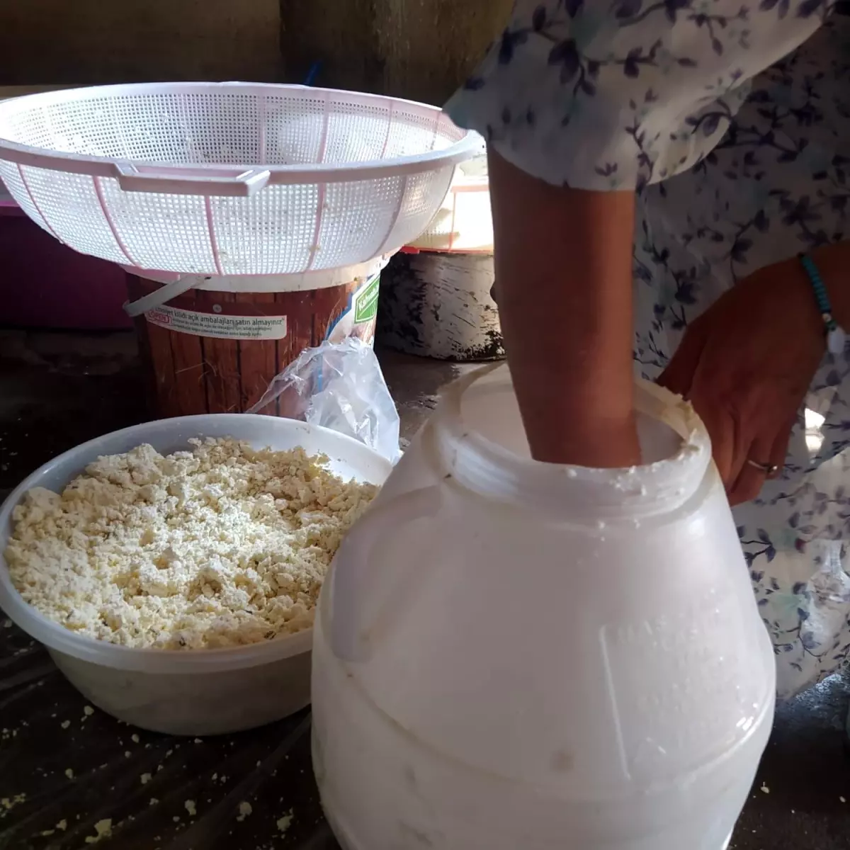 Ağrı\'da Kumla Gömülen Küp Peyniri Geleneği