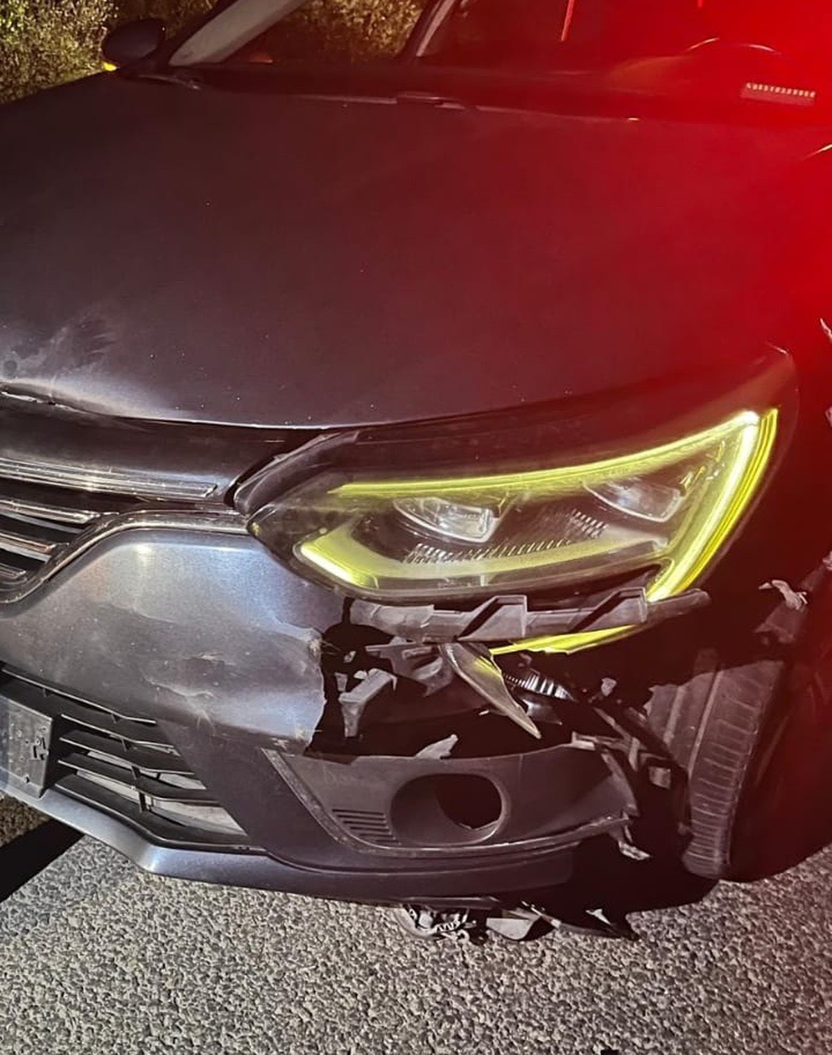 Yavru Ayı Otomobilin Çarpması Sonucu Öldü