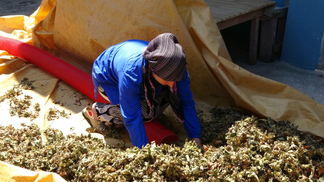 Saatlik ücretleri 4 bin 500 TL! Gece gündüz demeden çalışıyorlar Saatlik ücretleri 4 bin 500 TL! Gece gündüz demeden çalışıyorlar