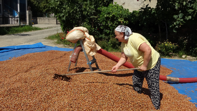 Saatlik ücretleri 4 bin 500 TL! Gece gündüz demeden çalışıyorlar Saatlik ücretleri 4 bin 500 TL! Gece gündüz demeden çalışıyorlar