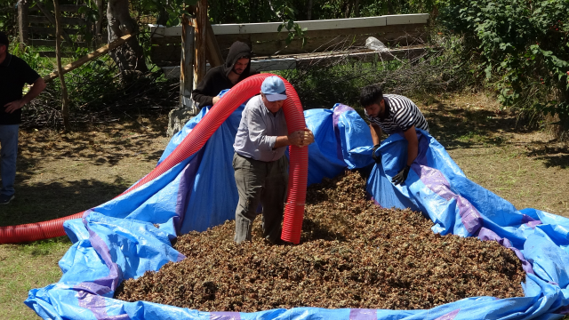 Saatlik ücretleri 4 bin 500 TL! Gece gündüz demeden çalışıyorlar Saatlik ücretleri 4 bin 500 TL! Gece gündüz demeden çalışıyorlar