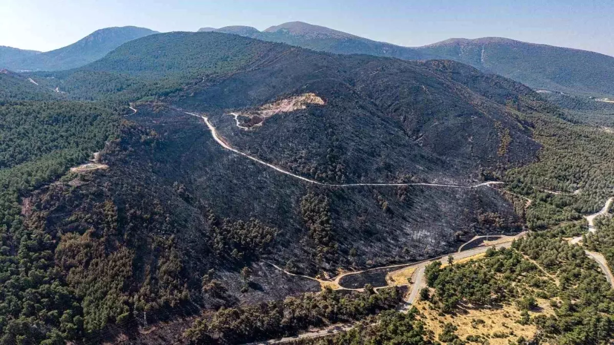 Manisa\'da Orman Yangını Kontrol Altına Alındı, Soğutma Çalışmaları Devam Ediyor