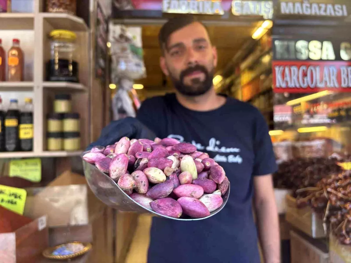 Gaziantep\'te Taze Antep Fıstığı Fiyatları